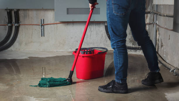 Best Water damage restoration near me  in Redland, AL