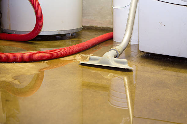 Best Emergency water damage restoration  in Redland, AL
