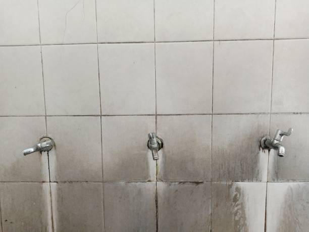Best Flooded house restoration  in Redland, AL