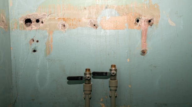 Best Fire Damage Restoration  in Redland, AL