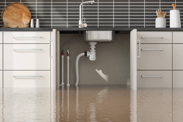 Best Flood damage cleanup  in Redland, AL