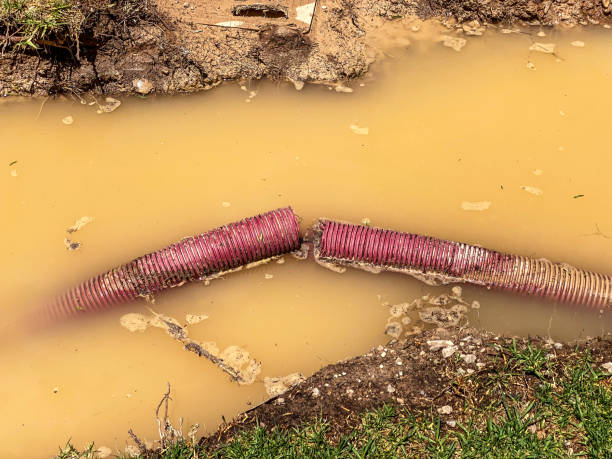 Best Sewage cleanup and water damage restoration  in Redland, AL