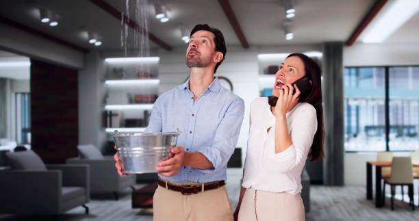 Best Carpet water damage restoration  in Redland, AL