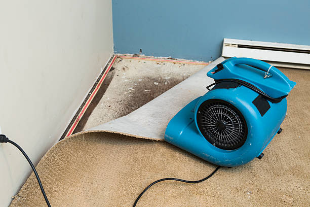 Best Residential water damage restoration  in Redland, AL